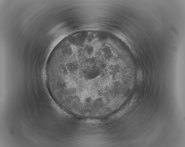 X0000112521466200909281007