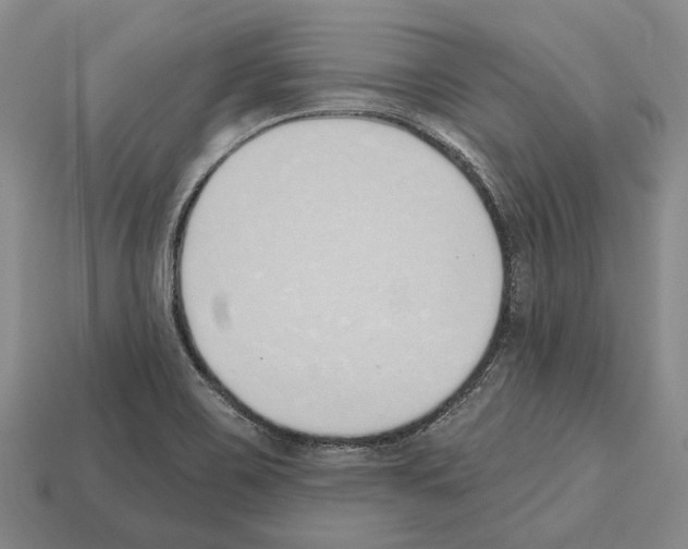 X0000112521467200909281007