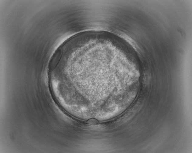 X0000112521468200909281007