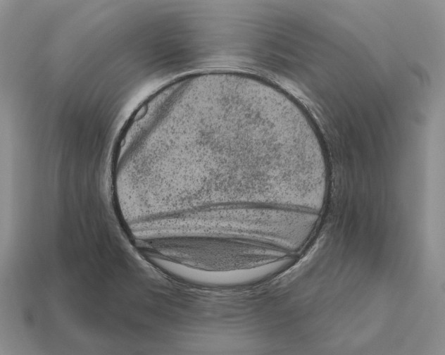 X0000112521469200909281007