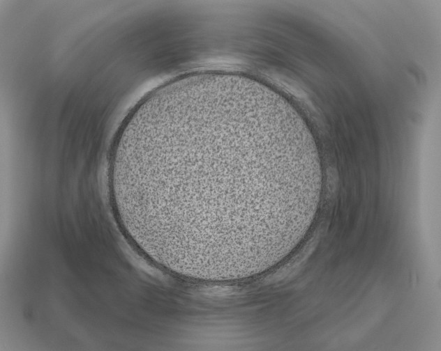 X0000112521470200909281007