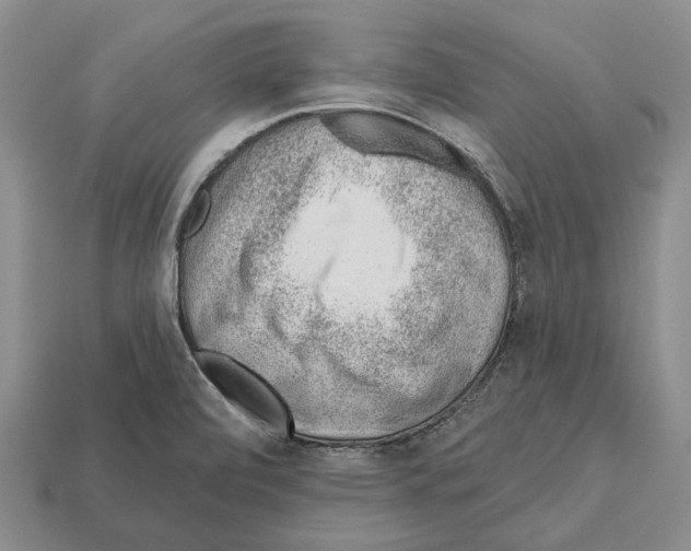X0000112521472200909281007