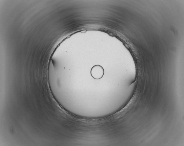 X0000112521473200909281007