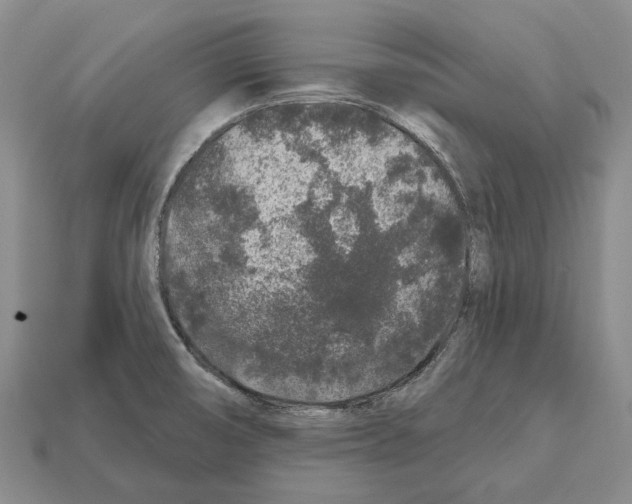 X0000112521474200909281007