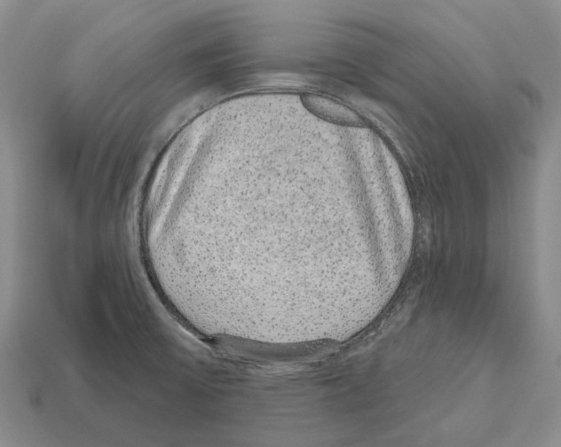 X0000112521475200909281007