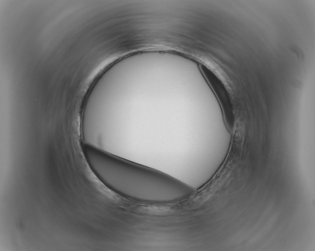 X0000112521476200909281007