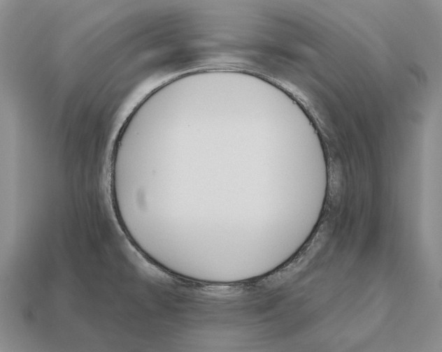X0000112521478200909281007