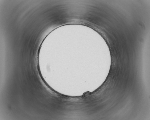 X0000112521479200909281007
