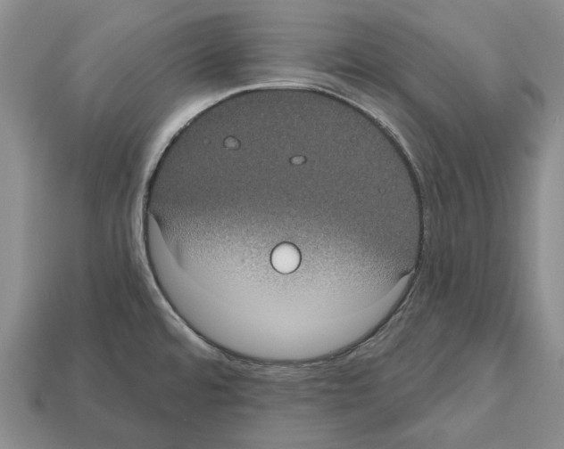 X0000112521480200909281007