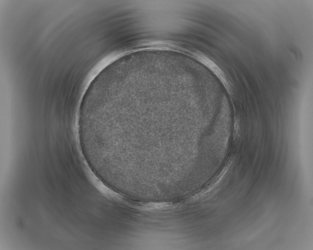 X0000112521482200909281006