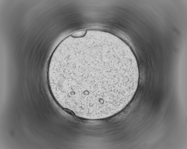 X0000112521483200909281006
