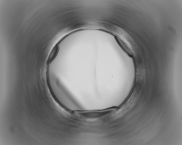 X0000112521484200909281006