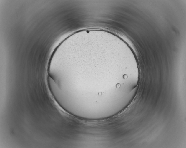 X0000112521485200909281006