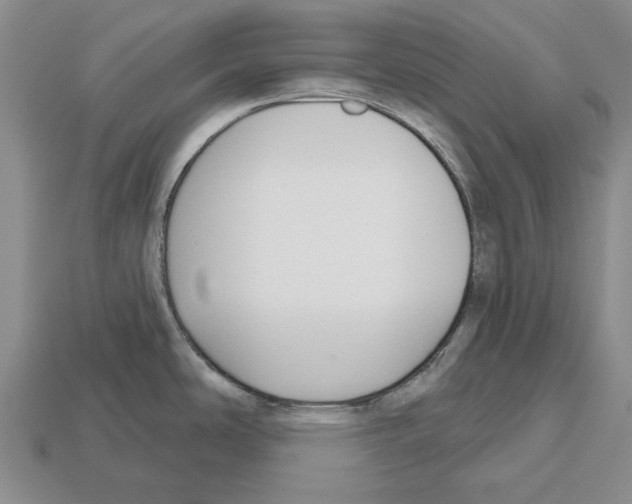 X0000112521486200909281006