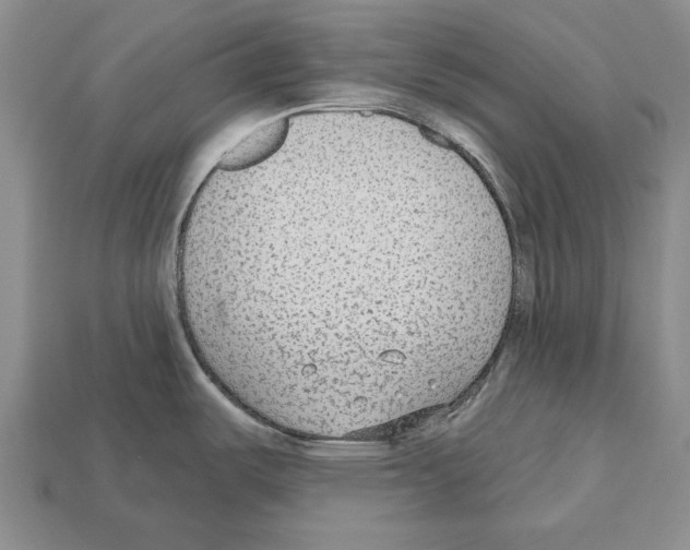 X0000112521487200909281006