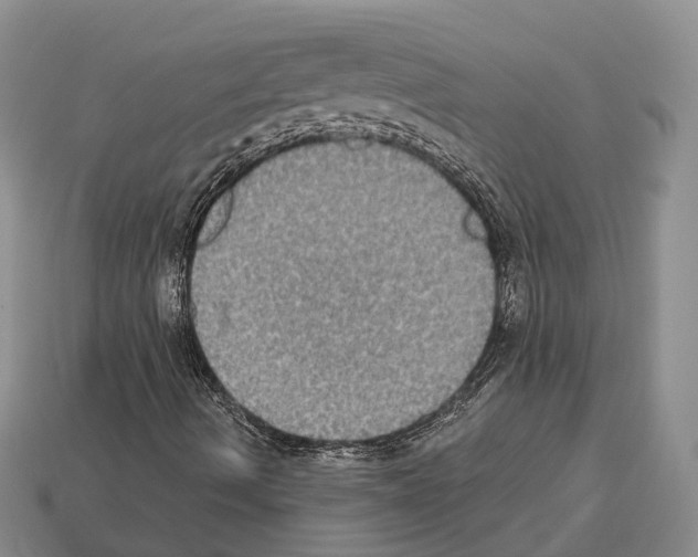 X0000112521490200909281005
