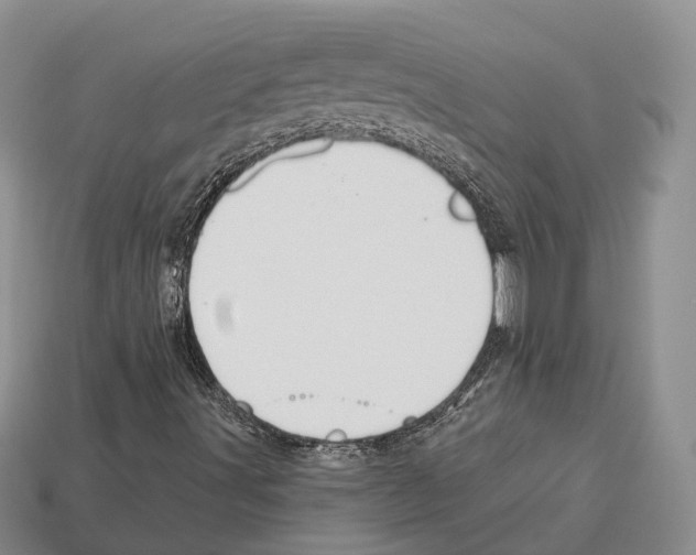 X0000112521491200909281005