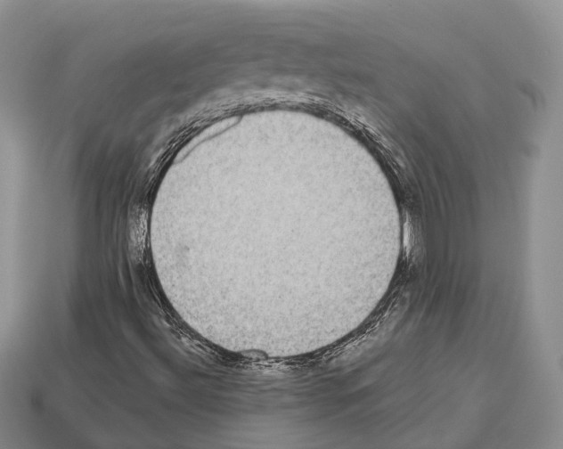 X0000112521492200909281005