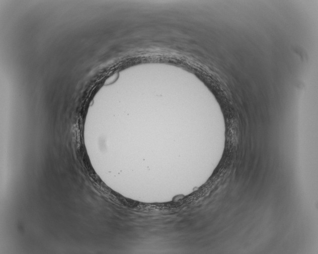 X0000112521493200909281005