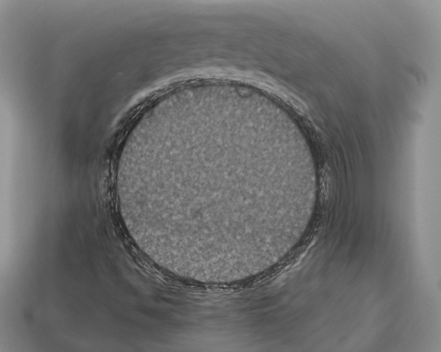 X0000112521494200909281005