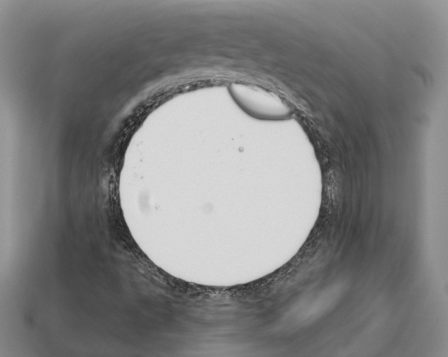 X0000112521495200909281005