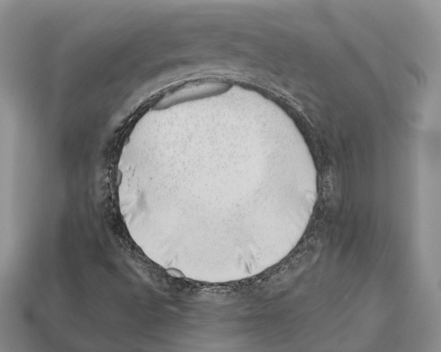X0000112521496200909281006
