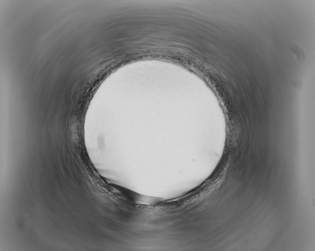 X0000112521497200909281006