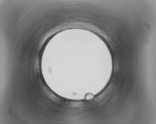 X0000112521498200909281006