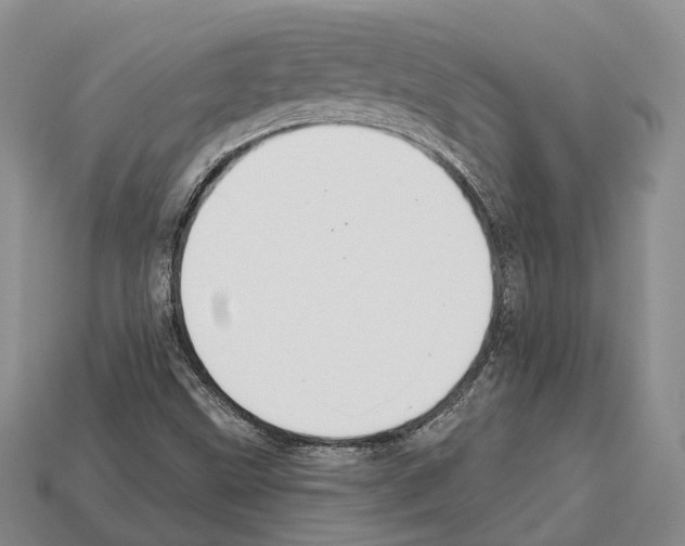 X0000112521499200909281006
