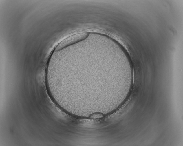 X0000112521500200909281006