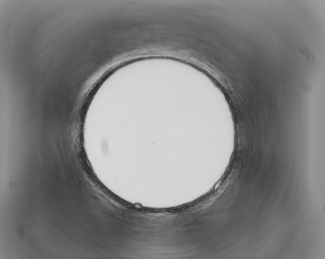X0000112521502200909281006
