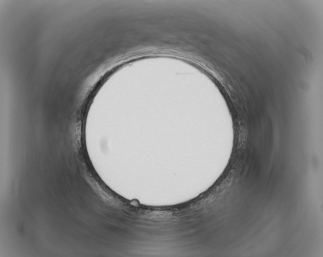 X0000112521503200909281006