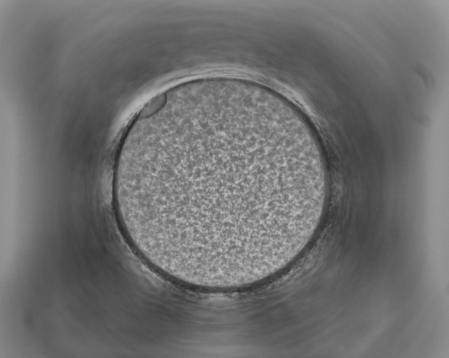 X0000112521504200909281006