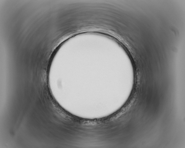 X0000112521505200909281006