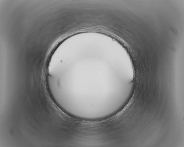 X0000112521506200909281006