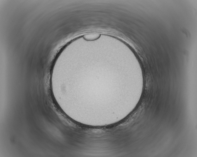 X0000112521507200909281006