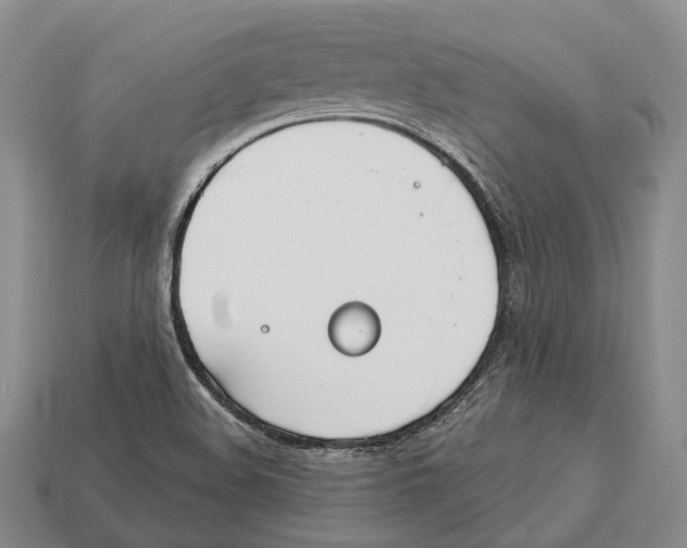 X0000112521508200909281006