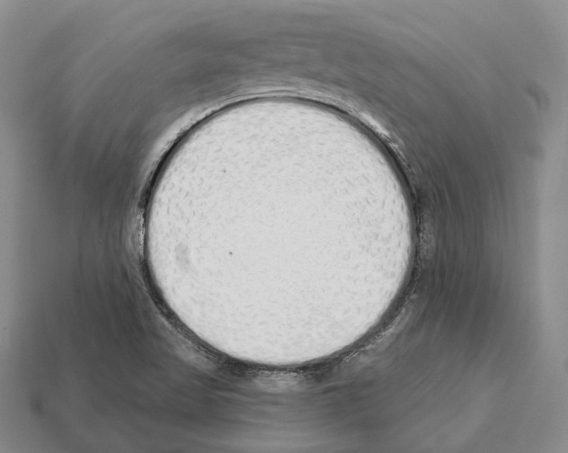 X0000112521509200909281006