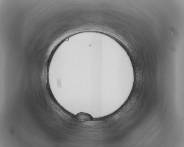 X0000112521510200909281006