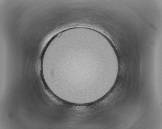 X0000112521511200909281006