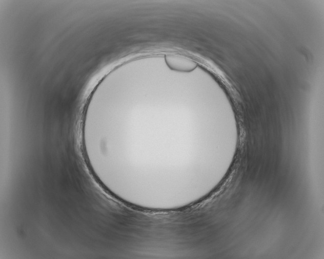 X0000112521512200909281006