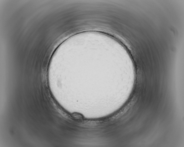 X0000112521513200909281006