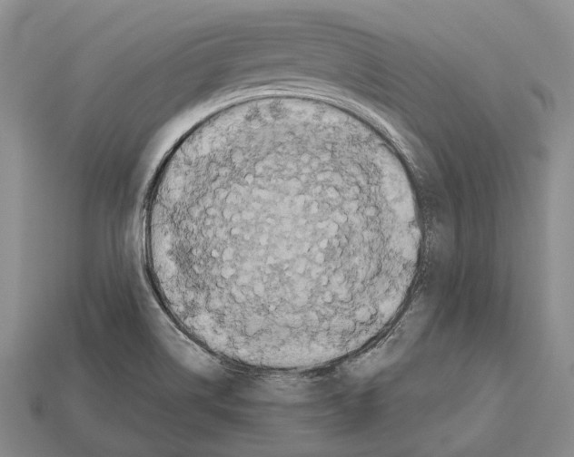 X0000112521514200909281006