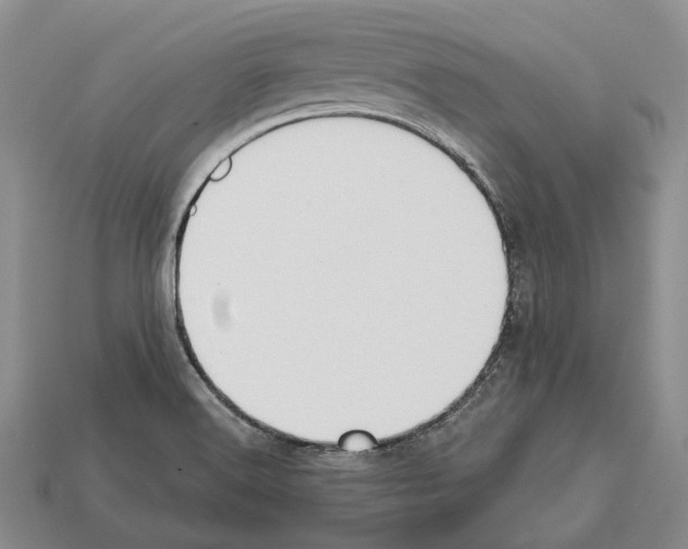 X0000112521516200909281006