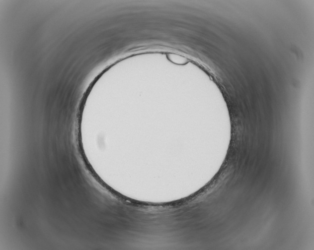 X0000112521518200909281006