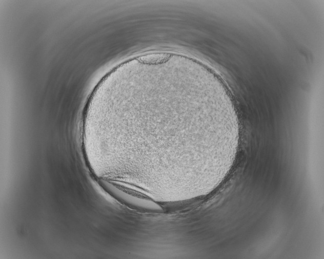X0000112521519200909281006