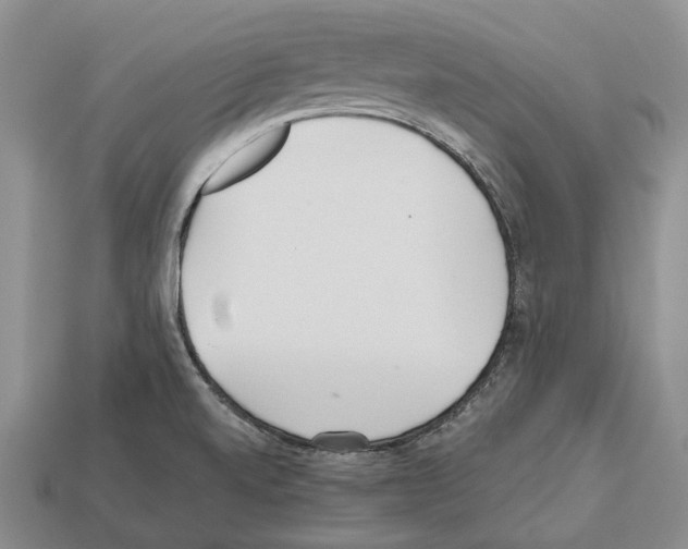 X0000112521520200909281006