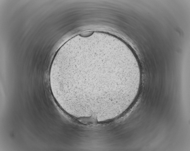 X0000112521521200909281006