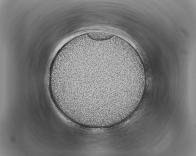 X0000112521523200909281006