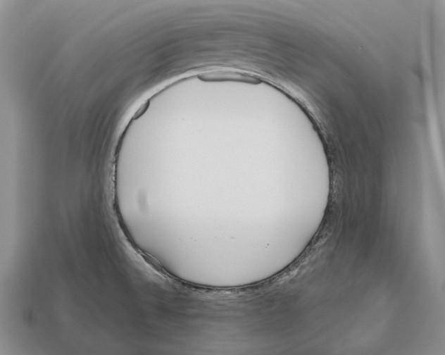 X0000112521524200909281006